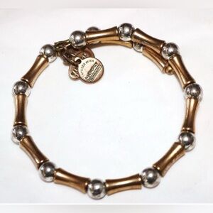 Alex & Ani Gold and Silver Energy Bracelet
